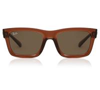 Ray-Ban RB4396 Warren 667873 Men's Sunglasses Brown Size 57