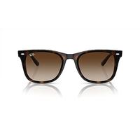 Ray-Ban RB4420 Men's and Women's Square Sunglasses + Bundle with Complimentary iWear Designer Eyewear Kit