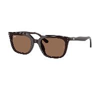 Ray-Ban RB4439D 6231/73 Sunglasses