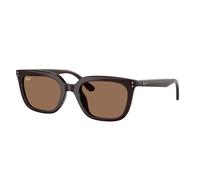 Ray - Ban RB4439D 623173 Unisex Sunglasses Acetate Brown Brown Squared Normal