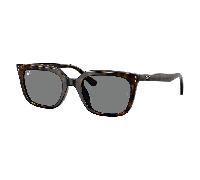 Ray-Ban RB4439D 710/87 Sunglasses