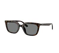 Ray - Ban RB4439D 710/87 Unisex Sunglasses Acetate Turtle Grey Squared Normal