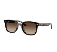 Ray - Ban RB4461D 710/13 Unisex Sunglasses Nylon Turtle Brown Squared Normal Shaded