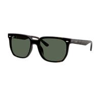 Ray - Ban RB4466D 710/71 Unisex Sunglasses Nylon Turtle Green Squared Normal