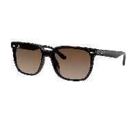 Ray-Ban RB4466D 714/13 Sunglasses