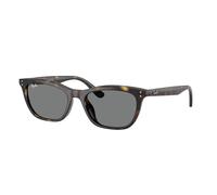 Ray-ban RB4474D 710/87