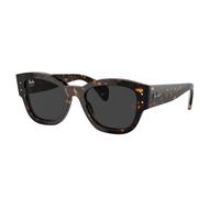 Ray-ban Jorge RB7681S 902/48