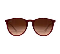 Ray-ban Erika RB4171 6815A5