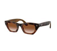 Ray-ban Zena Sunglasses