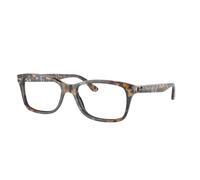 Ray - Ban RX5428 8173 Unisex Optical frames Acetate Grey Transparent Squared Normal
