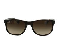 Ray-Ban Sunglasses Andy 4202 607313 Matt Brown Brown Gradient