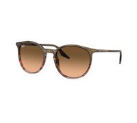 Ray - Ban Unisex RB2204 13953B Sunglasses Acetate Brown Pink Pantos Normal Shaded