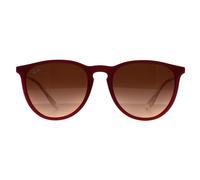 Ray-Ban Sunglasses RB4171 Erika 6815A5 Polish Rubber Violet Pink Gradient Brown