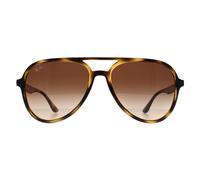 Ray-Ban Sunglasses RB4376 710/13