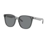 Ray - Ban Sunglasses RB4423D 645087 Grey brown Men Women