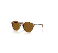 Ray-Ban Sunglasses Unisex Bernard - Havana Grey & Brown Frame Brown Lenses 53-21