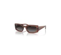 Ray-ban Kiliane RB4395 6678T3