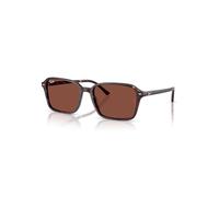 Ray-Ban Sunglasses Unisex Raimond - Transparent Fantasy Violet & Red Frame Red Lenses 56-18