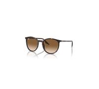 Ray - Ban Unisex RB2204 902/51 Sunglasses Acetate Turtle Brown Pantos Normal Shaded