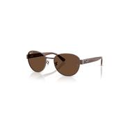 Ray-Ban Sunglasses Unisex Rb3766ch Chromance - Striped Brown Frame Brown Lenses Polarized 56-20