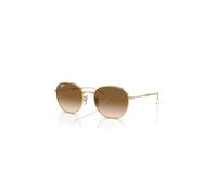 Ray-Ban Sunglasses Unisex Rb3809 - Arista Gold Frame Brown Lenses 53-20