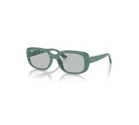 Ray-Ban Sunglasses Unisex Rb4421d Bio-based - Algae Green Frame Grey Lenses 56-18