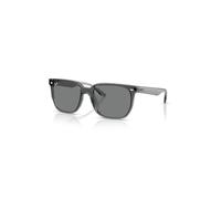 Ray-Ban Sunglasses Unisex Rb4466d - Transparent Grey Frame Grey Lenses 01-47