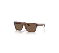 Ray-Ban Sunglasses Unisex Warren Bio-based - Transparent Brown Frame Brown Lenses 54-20