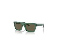 Ray-Ban Sunglasses Unisex Warren Bio-based - Transparent Green Frame Brown Lenses 57-20