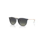 Ray-ban Erika RB4171 681311