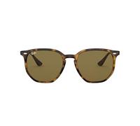 Ray - Ban RB4306 710/73 Unisex Sunglasses Injected Turtle Geometric Normal