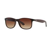 Ray-Ban Sunglasses Andy 4202 607313 Matt Brown Brown Gradient