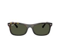 Ray-Ban Unisex Irregular Sunglasses 0RB2225