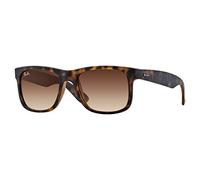 Ray-Ban Unisex Justin Sunglasses (pack of 1)