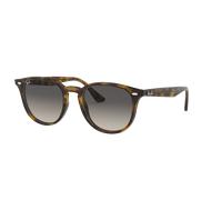 Ray - Ban Unisex Ray - Ban RB4259 710/11 Sunglasses Injected Turtle Grey Pantos Normal Shaded