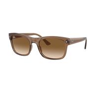 Ray - Ban Unisex Ray - Ban RB4428 664051 Sunglasses Acetate Brown Brown Squared Normal Shaded