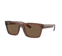 Ray - Ban Unisex RB4396 WARREN 667873 Sunglasses Acetate Brown Brown Squared Normal