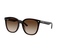 Ray - Ban Unisex RB4423D 714/13 Sunglasses Injected Brown Brown Squared Normal Shaded
