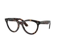 Ray - Ban Unisex RX2241V WAYFARER WAY 2012 Optical frames Acetate Turtle Transparent Round Normal