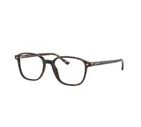 Ray-Ban Leonard RX5393 2012 49 Havana