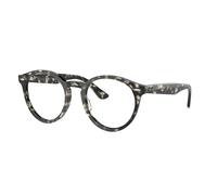 Ray - Ban Unisex RX7680V LARRY 8117 Optical frames Acetate Turtle Transparent Pantos Normal