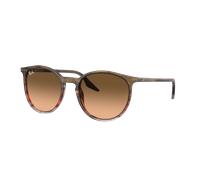 Ray - Ban Unisex RB2204 13953B Sunglasses Acetate Brown Pink Pantos Normal Shaded