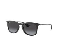 Ray-Ban Sunglasses Unisex Rb4221 - Black Frame Grey Lenses 50-19