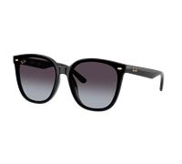 Ray-Ban Unisex Sunglass RB4423D Year Of The Snake Edition - Frame color: Black, Lens color: Grey Gradient