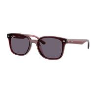 Ray-Ban Unisex Sunglass RB4461D - Frame color: Transparent Dark Brown, Lens color: Violet