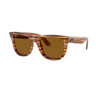 Ray-Ban Unisex Sunglass RBR0502S Wayfarer Reverse - Frame color: Striped Havana, Lens color: Polar Dark Brown