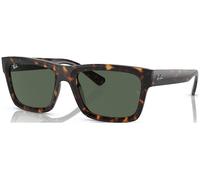 Ray-ban Warren RB4396 135971