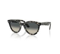 Ray-Ban Wayfarer Way RB 2241 - Oval