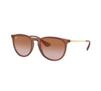 Ray - Ban Woman Ray - Ban RB4171 ERIKA 659013 Sunglasses Nylon Brown Brown Pantos Normal Shaded