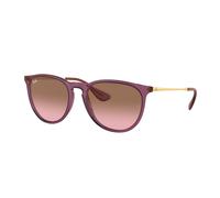 Ray-Ban Sunglasses RB4171 ERIKA 659114 Violet pink Woman